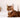 De Bengaalse kat, lees hier alles over dit prachtige kattenras