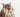 De Noorse boskat, lees alles over dit unieke kattenras