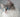 De Ragdoll kat, lees alles over dit unieke kattenras