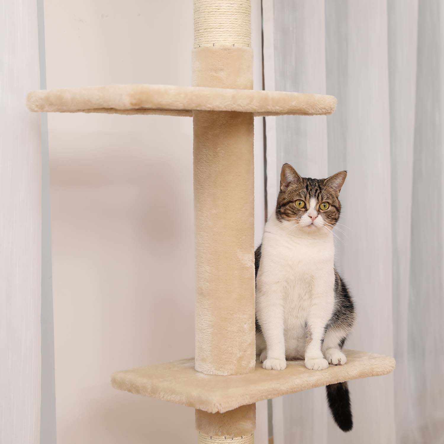 Kattenu TripleTower Plafond krabpaal - 230-252 cm - Groen - Krabpaal tot aan het plafond Kattenu TripleTower Plafond krabpaal - 230-252 cm - Groen - Krabpaal tot aan het plafond
